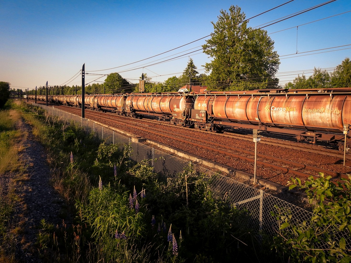 Why Transparency is Key in the Petroleum Industry